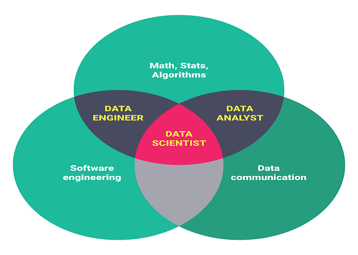 Data Science Industrial Roles